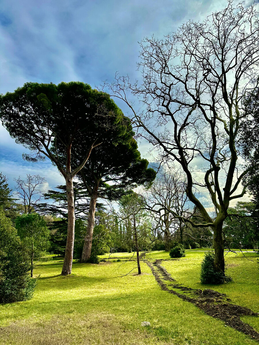 Воронцовский парк