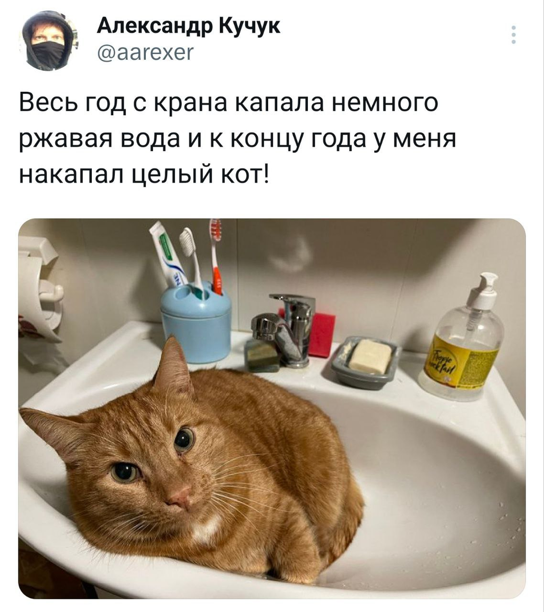 Них или нет