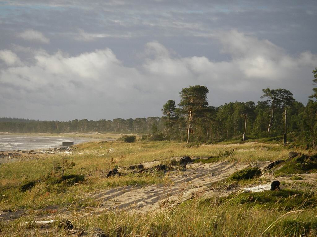 Дорога в Дураково