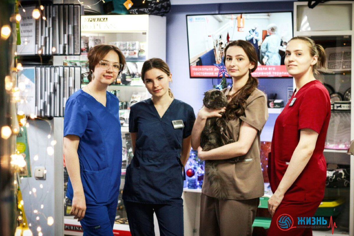 Команда ветеринарной клиники в Калуге "Жизнь"