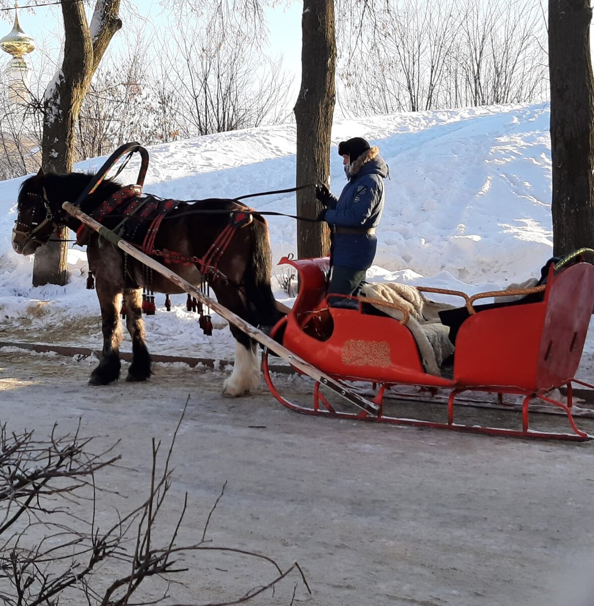 Новогодний суздаль 2024