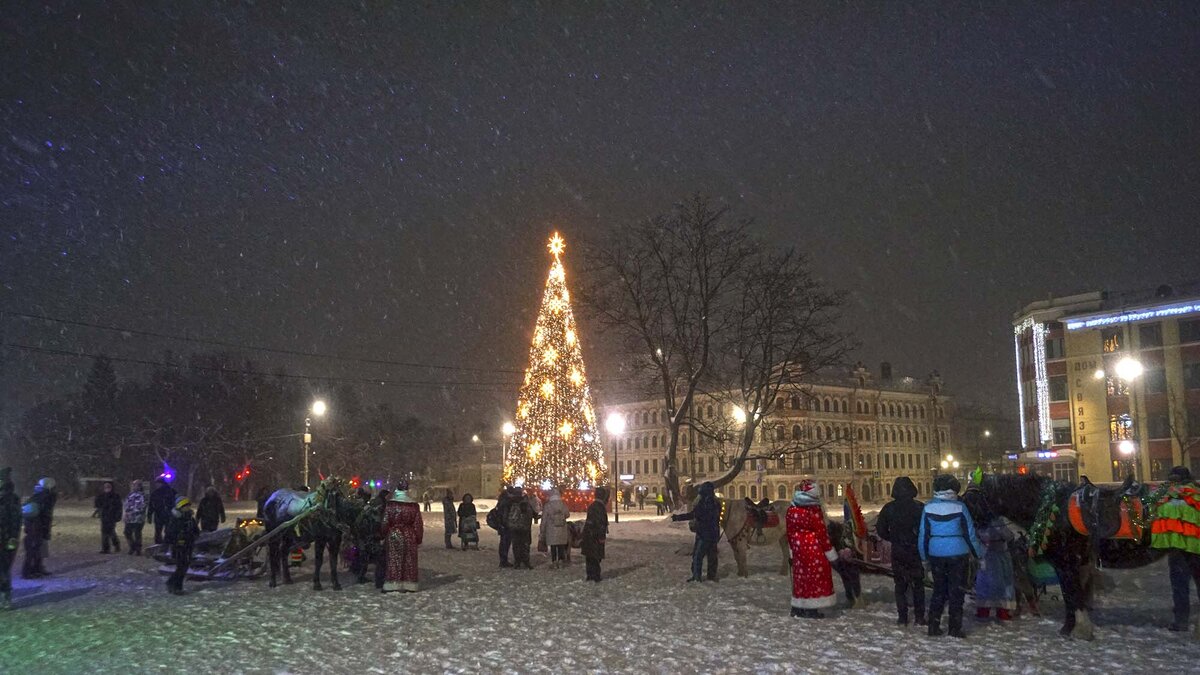 Ели сегодня