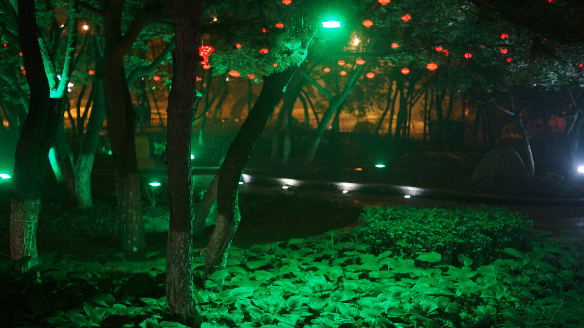 листайте галерею