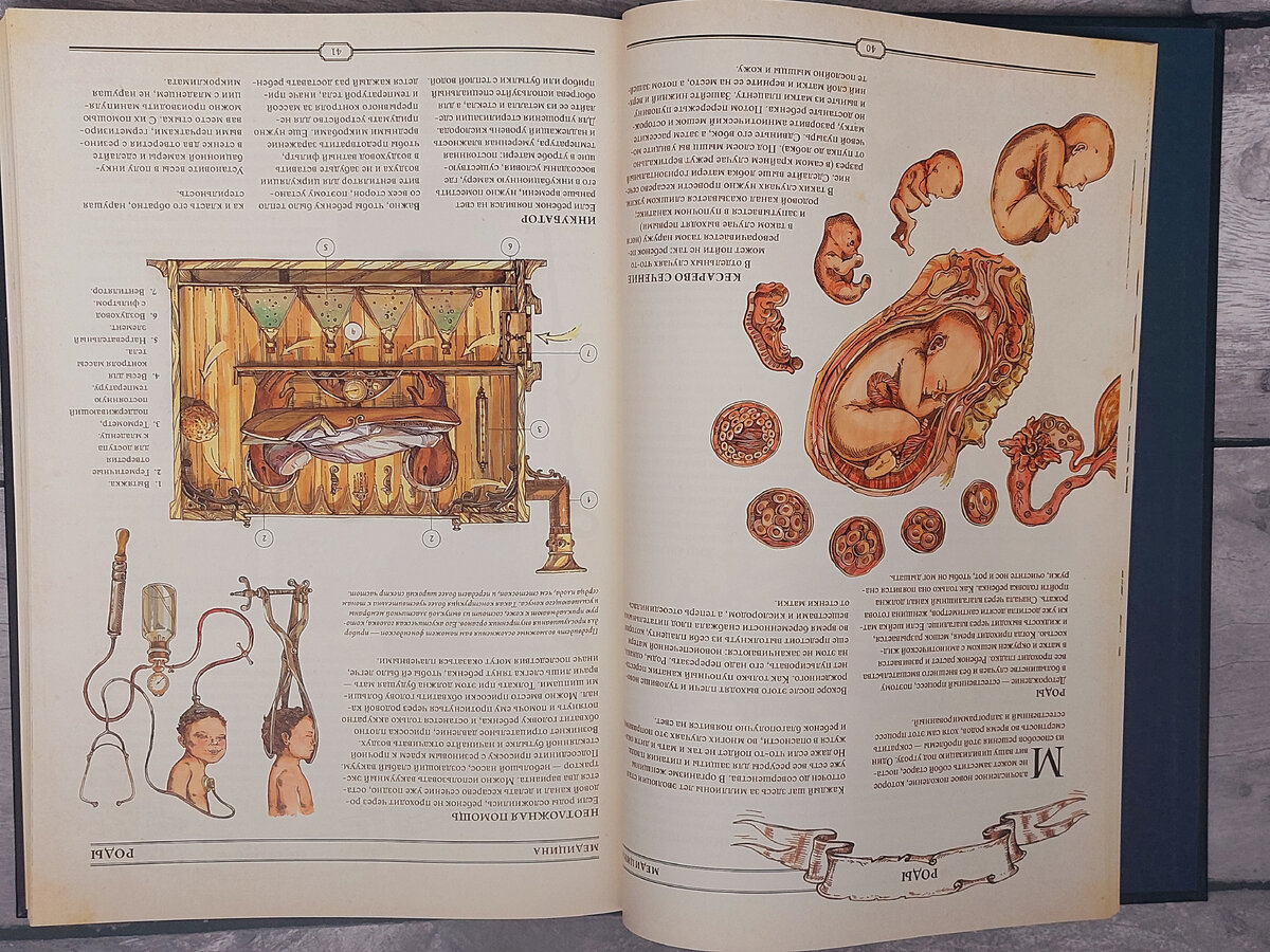 The book книга как создать цивилизацию. The book книга как создать цивилизацию