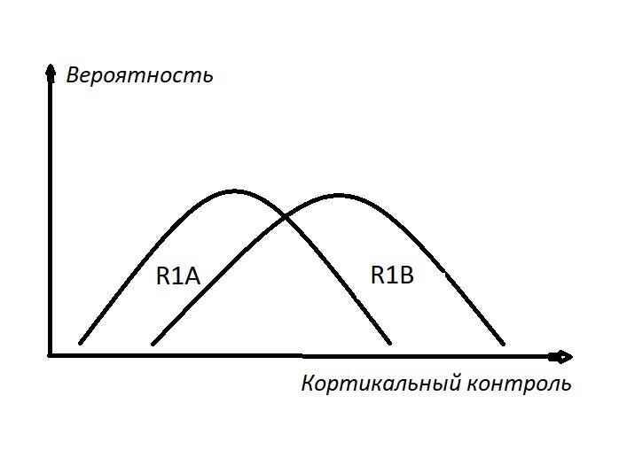 На рисунке показано как измерили