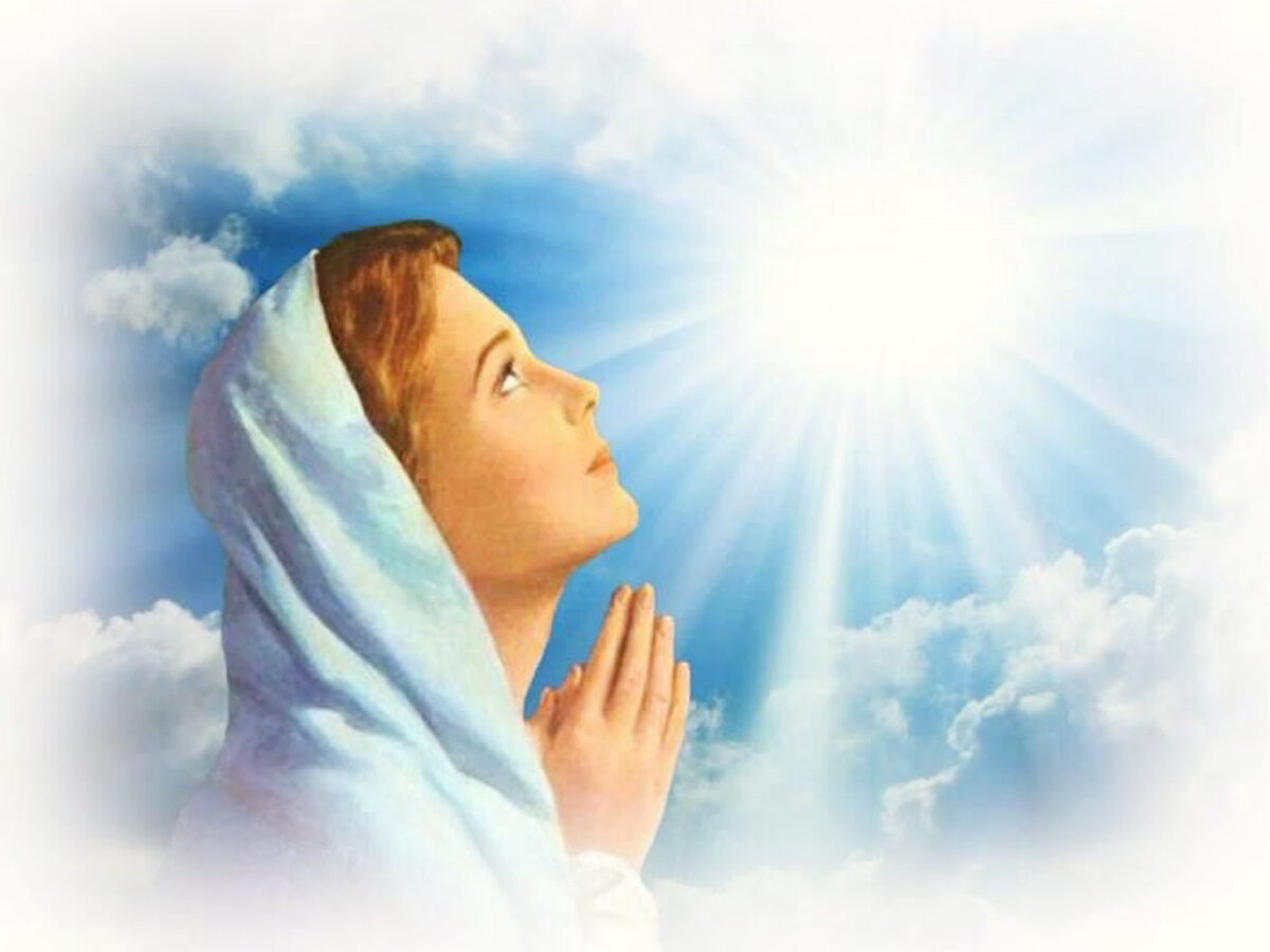 Интернет - свободный доступ