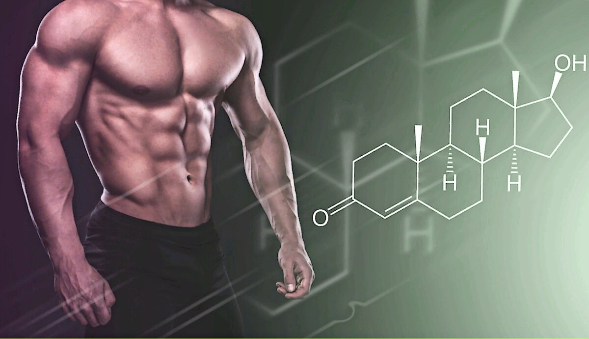 Тестостерон - король гормонов. Картинка из открытых источников Яндекса.