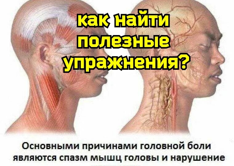 Болит изможденная шея, нарушено кровоснабжение мозга? Научитесь балансировать лестничные и ременные мышцы