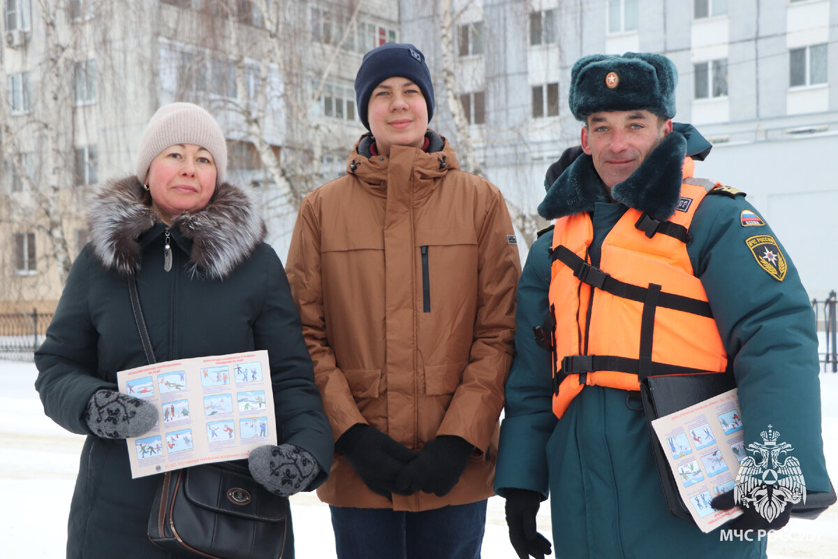 Область инспекции