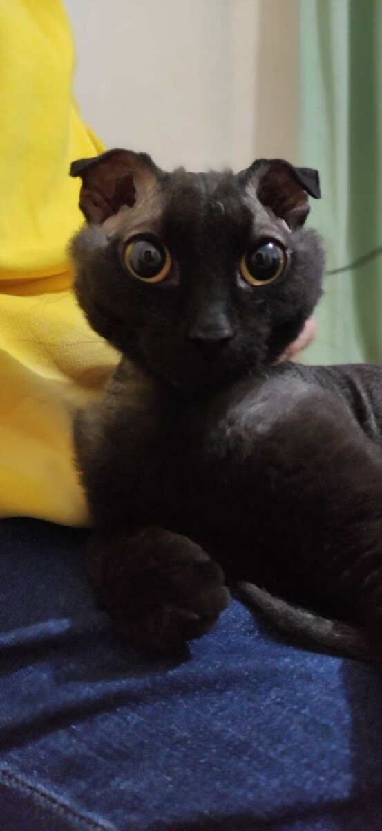 Листайте вправо, чтобы увидеть больше изображений