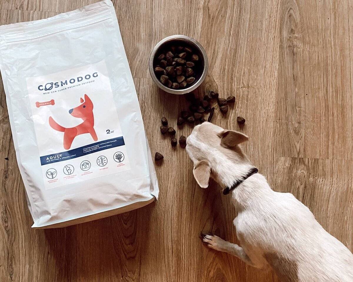 Предложите собаке то, что она гарантированно ни разу не пробовала.