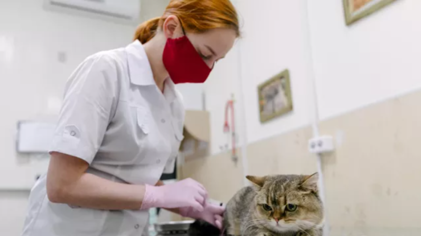   РИА Новости