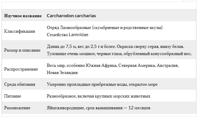 Нередко белые это. Нередко белые это
