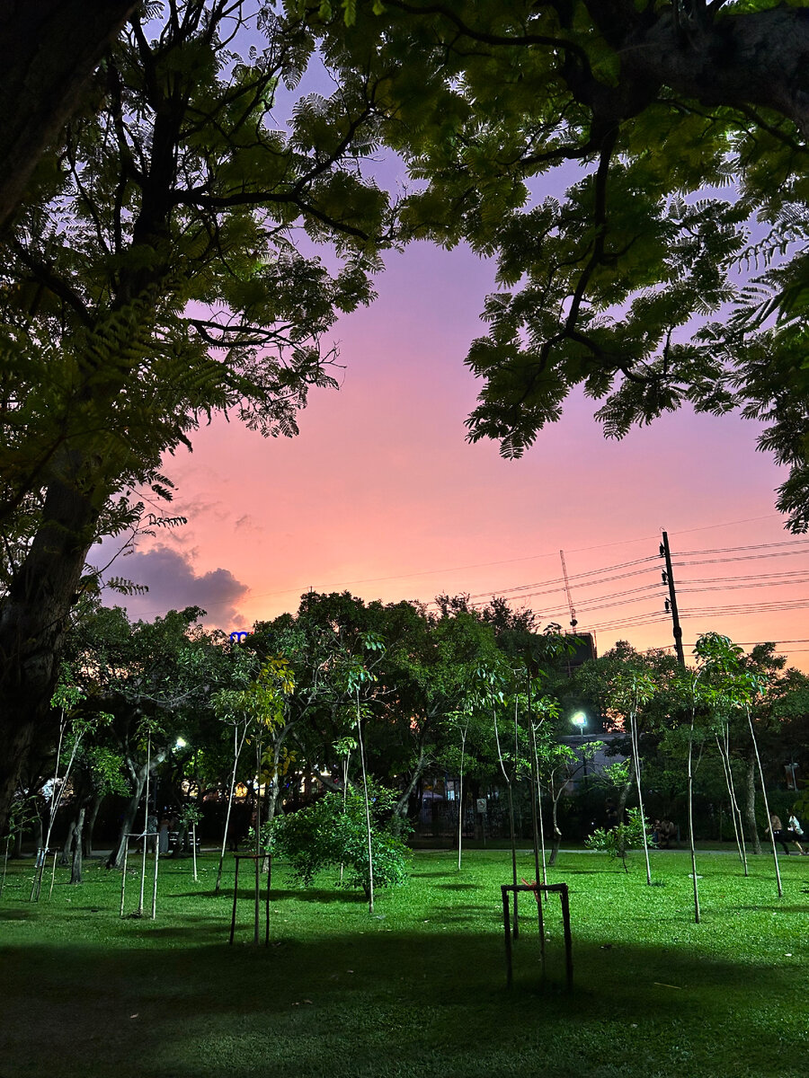 Закат в парке Чатучак