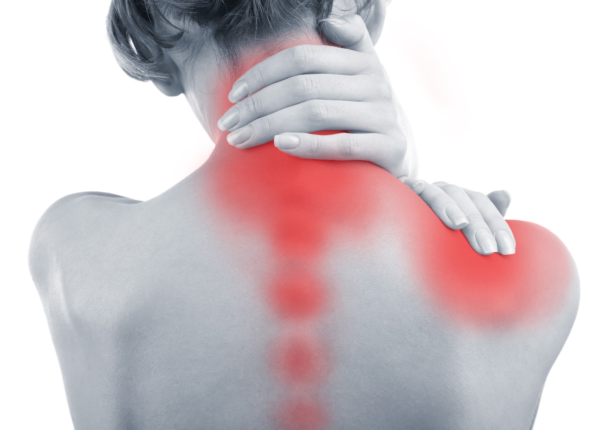 Болят мышцы спины причины. Болезнь Фибромиалгия. Воспаление мышц позвоночника.