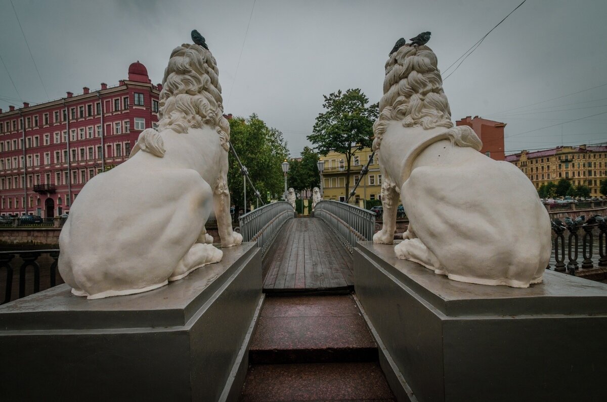 Фото: Павел Борисов