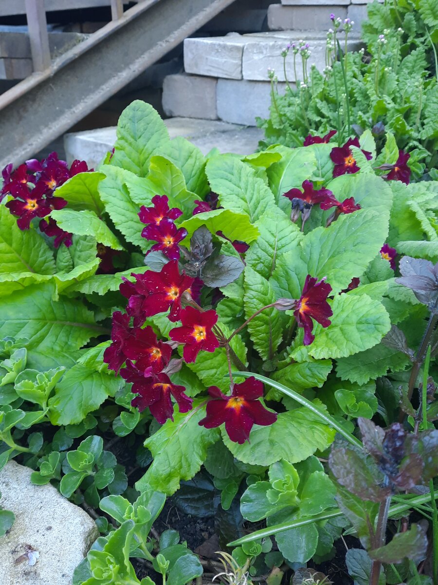 Нескучный сад арка. Парк сокольники. Парк горького нескучный сад. Парк дружбы москва. Хелен парк+ ландшафт.