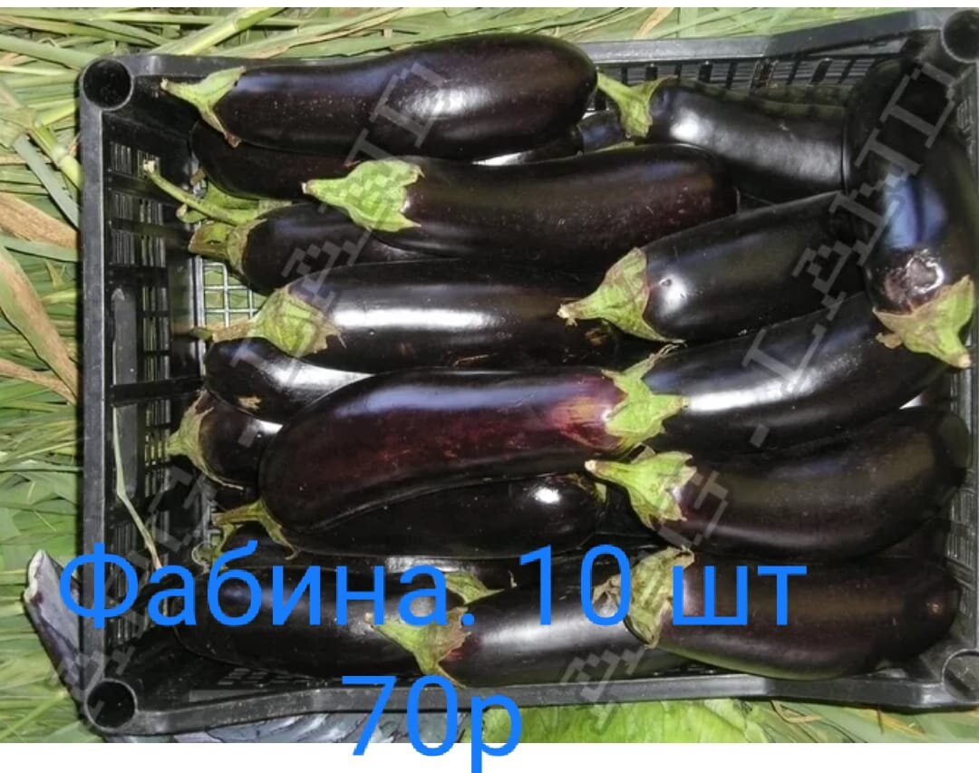 Ливень из окна. Открой осадку. Дождик окна пвх. Марки углубления судна. Конденсат на стекле авто.