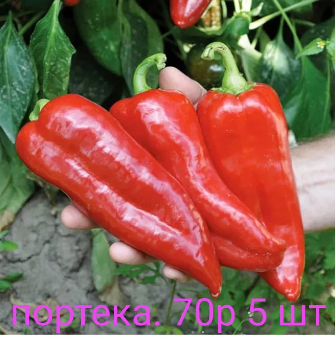 Жизнь перцев. Жизнь перцев