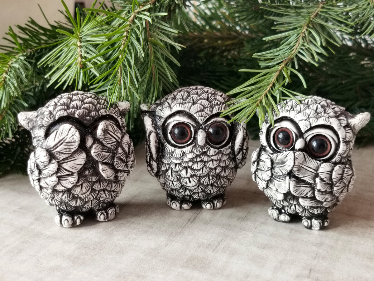 Фото автора канала 