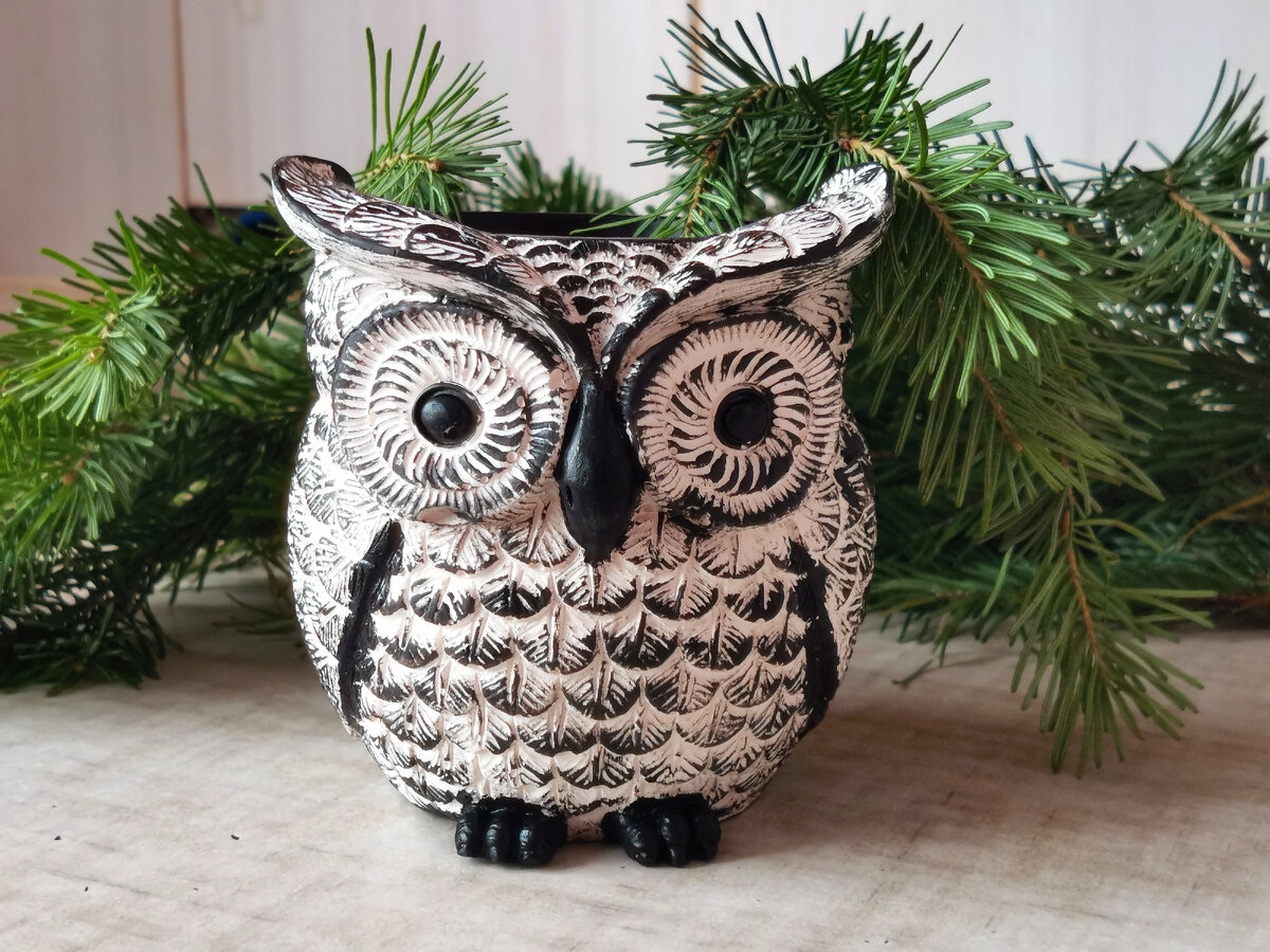 Фото автора канала 