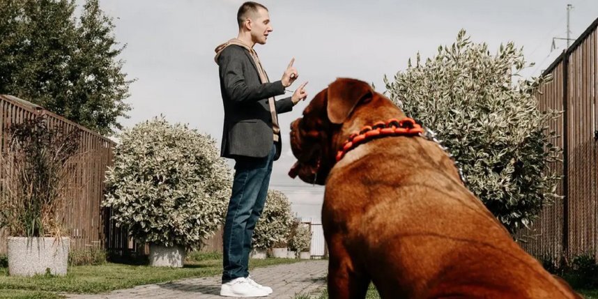    Неудачливый бизнес-тренер может поправить свои дела при помощи, например, собак."KION"