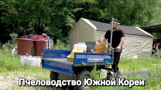 Пчеловоды Южной Корее откачивают мёд