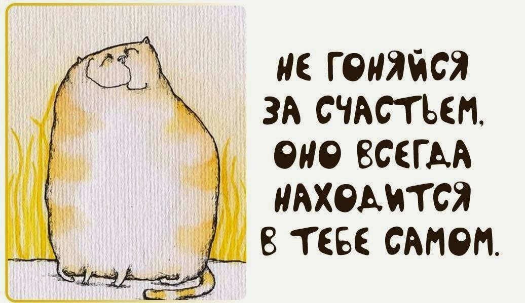Хочу найти свое счастье. Смешные мудрости в картинках
