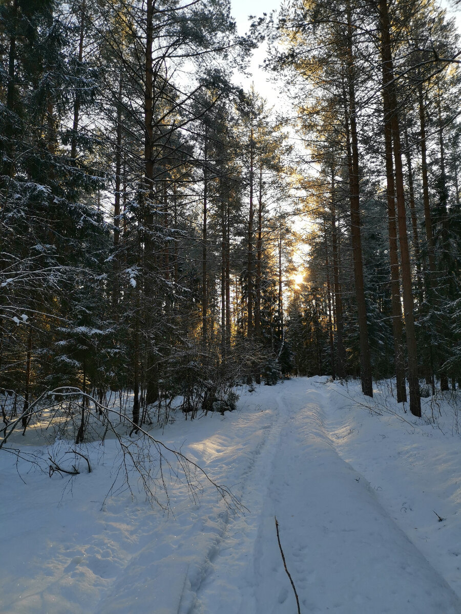 Все конаково