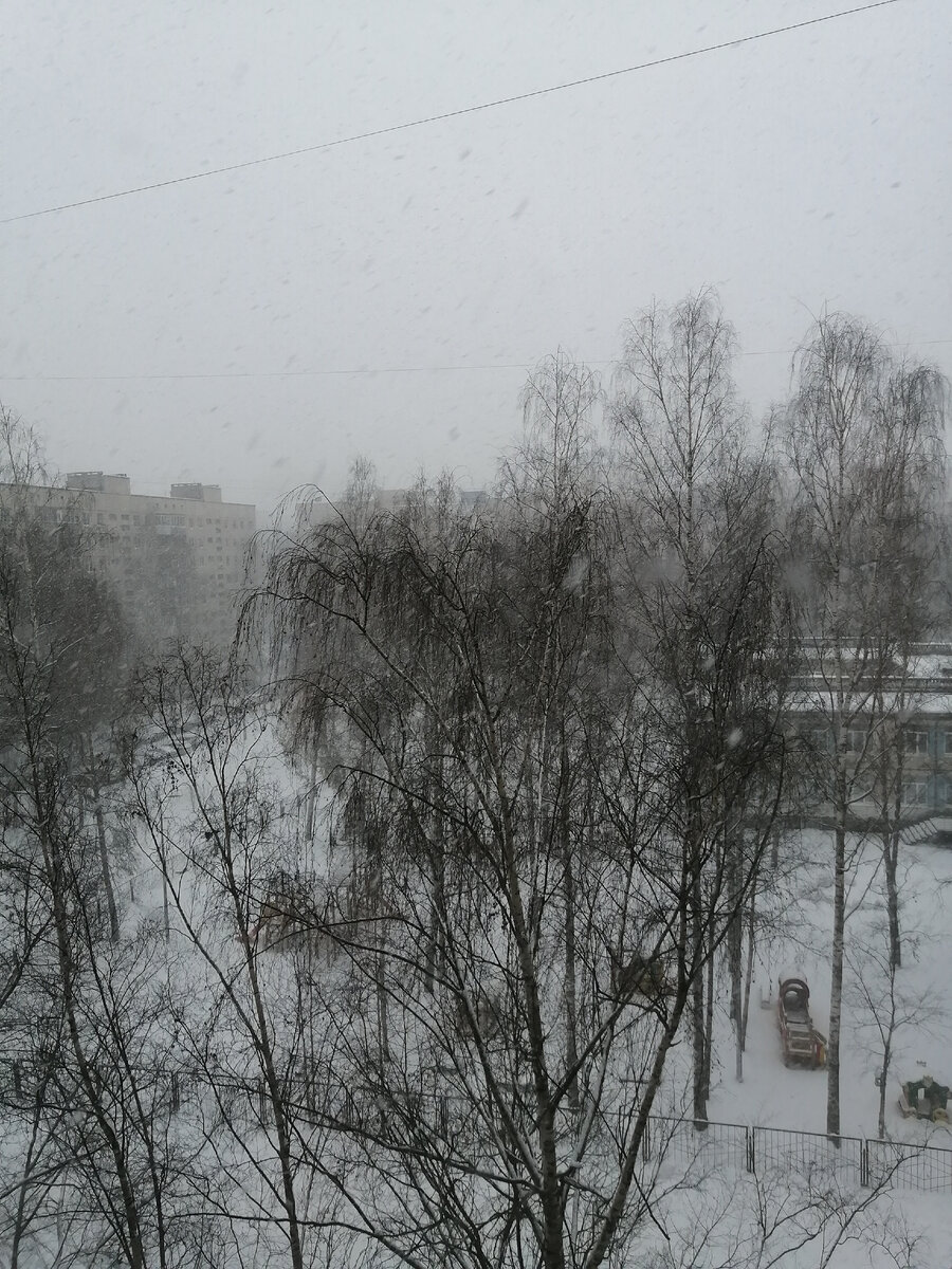 Фото автора канала 08.01.2024