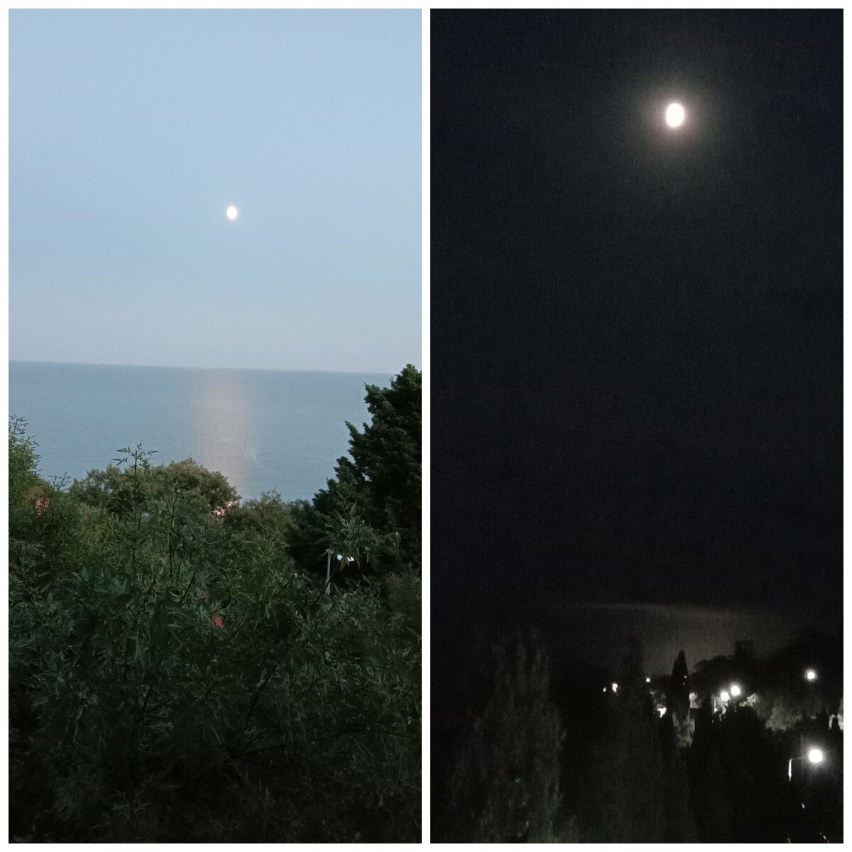 Вид из окна номера в Алупке. Личный фотоальбом