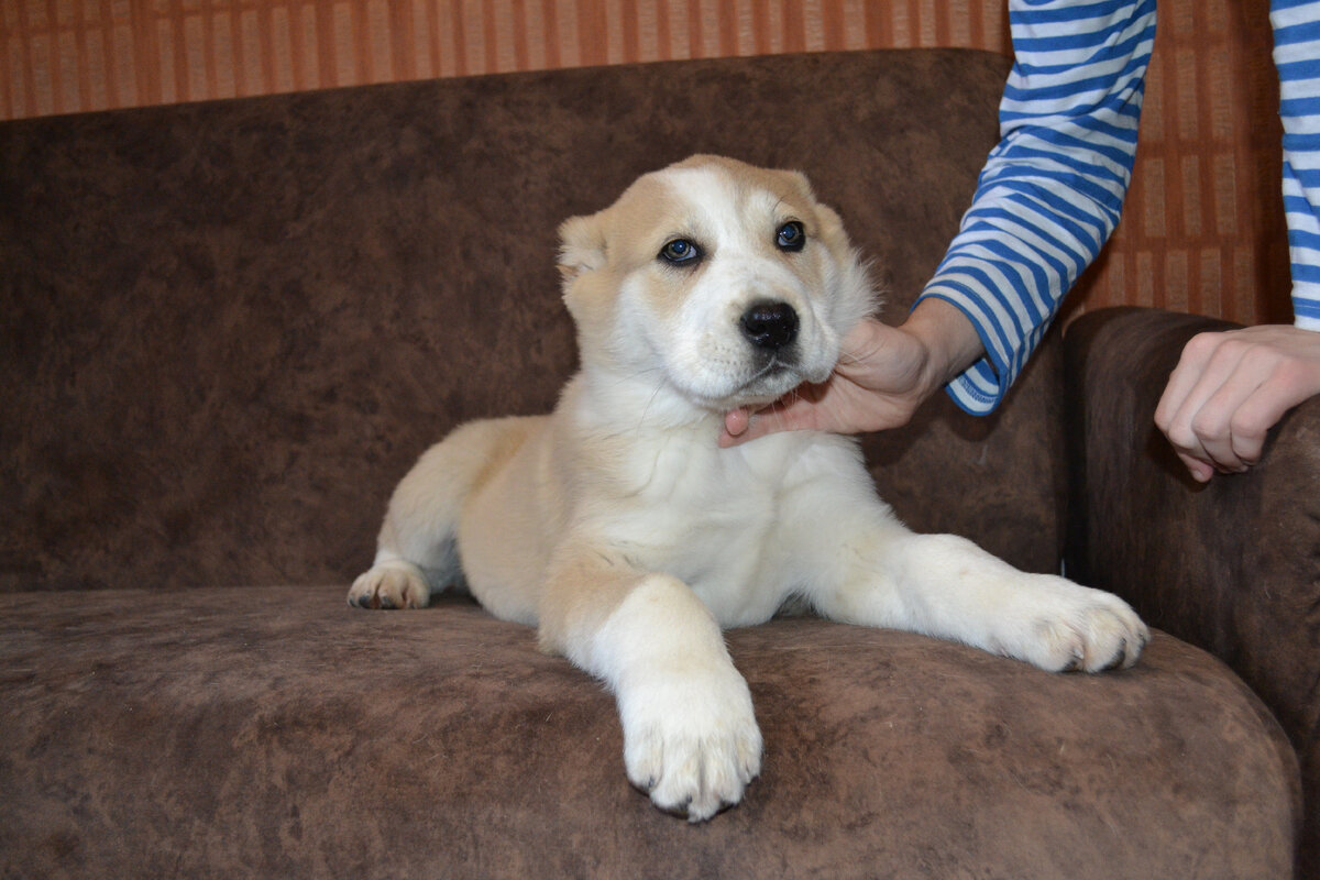 листаем вбок









