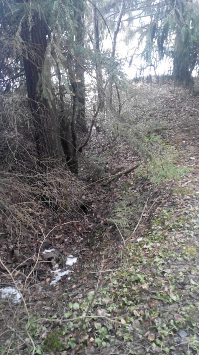 Траппы плато путорана. Илеть марий эл река зимой. Исток реки мараньон. Река дон в тульской области. Река дон новомосковск.