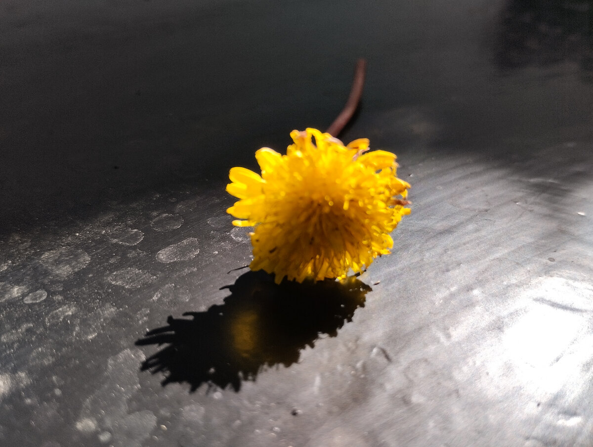 Фото автора.. 