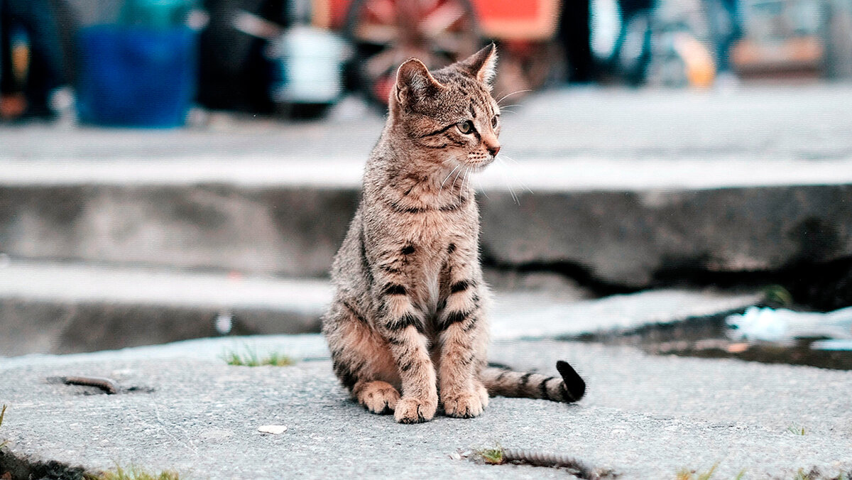 источник фото: i.timeout.ru