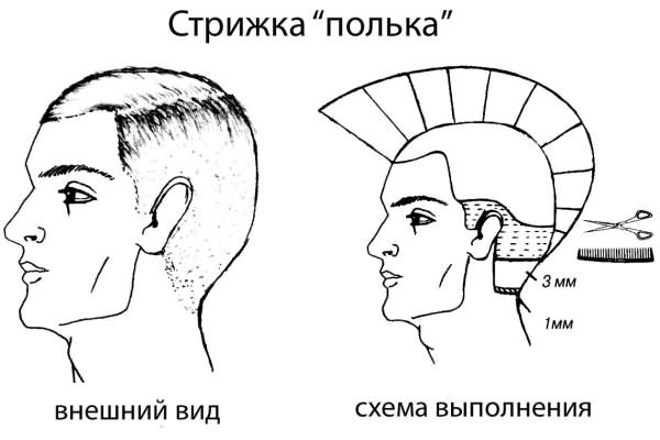 Подстригли стрижку