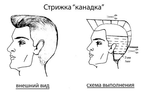 Мужские стрижки виды