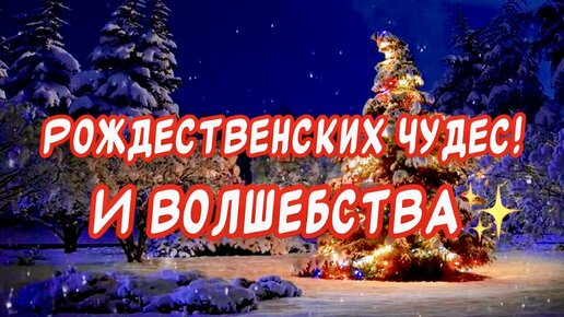 Рождество-2024: новые открытки, поздравления, и стихи для скачивания