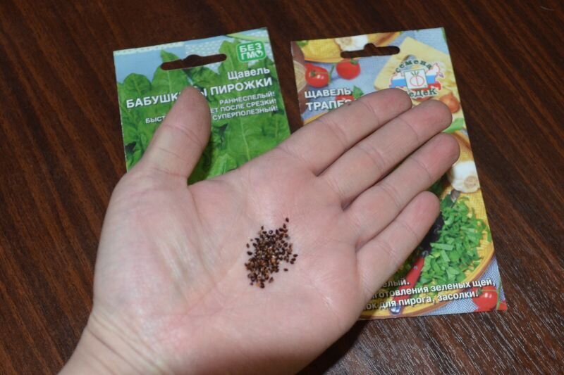 Семена щавеля.