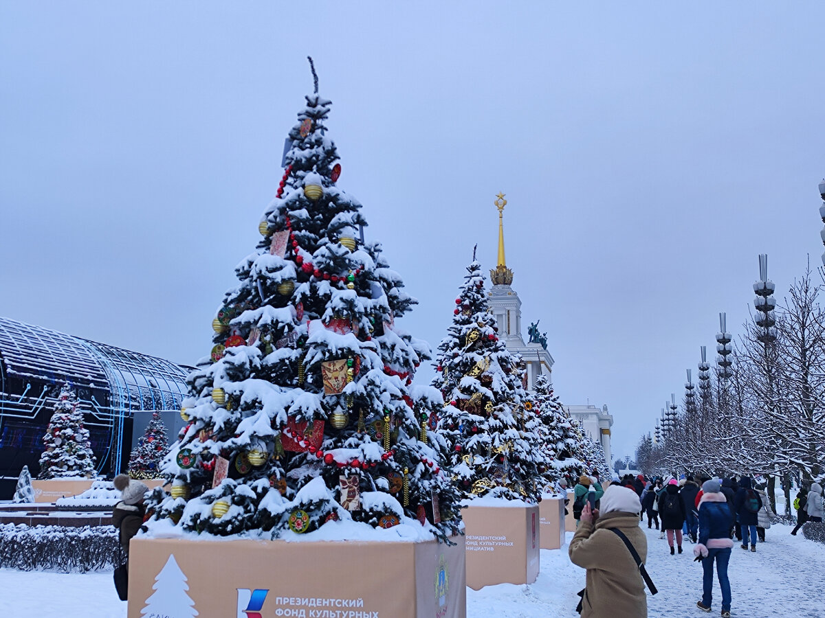 Выставка Россия на ВДНХ. Ёлочки