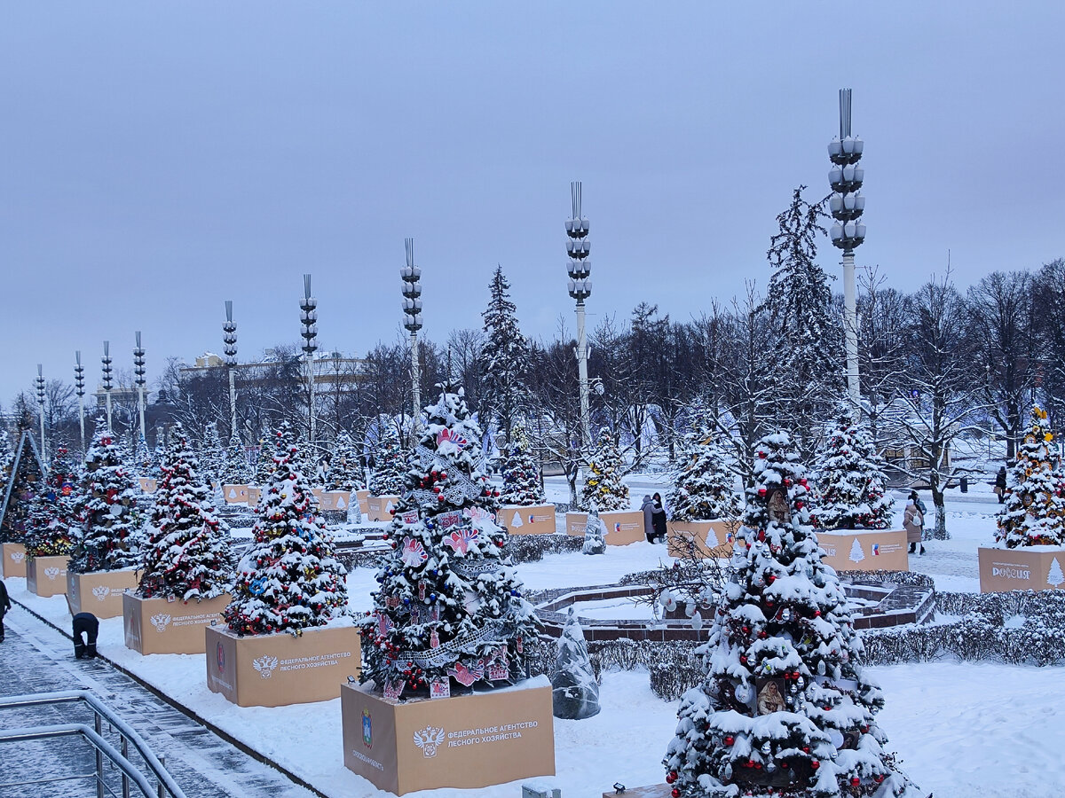 Выставка Россия на ВДНХ. Ёлочки