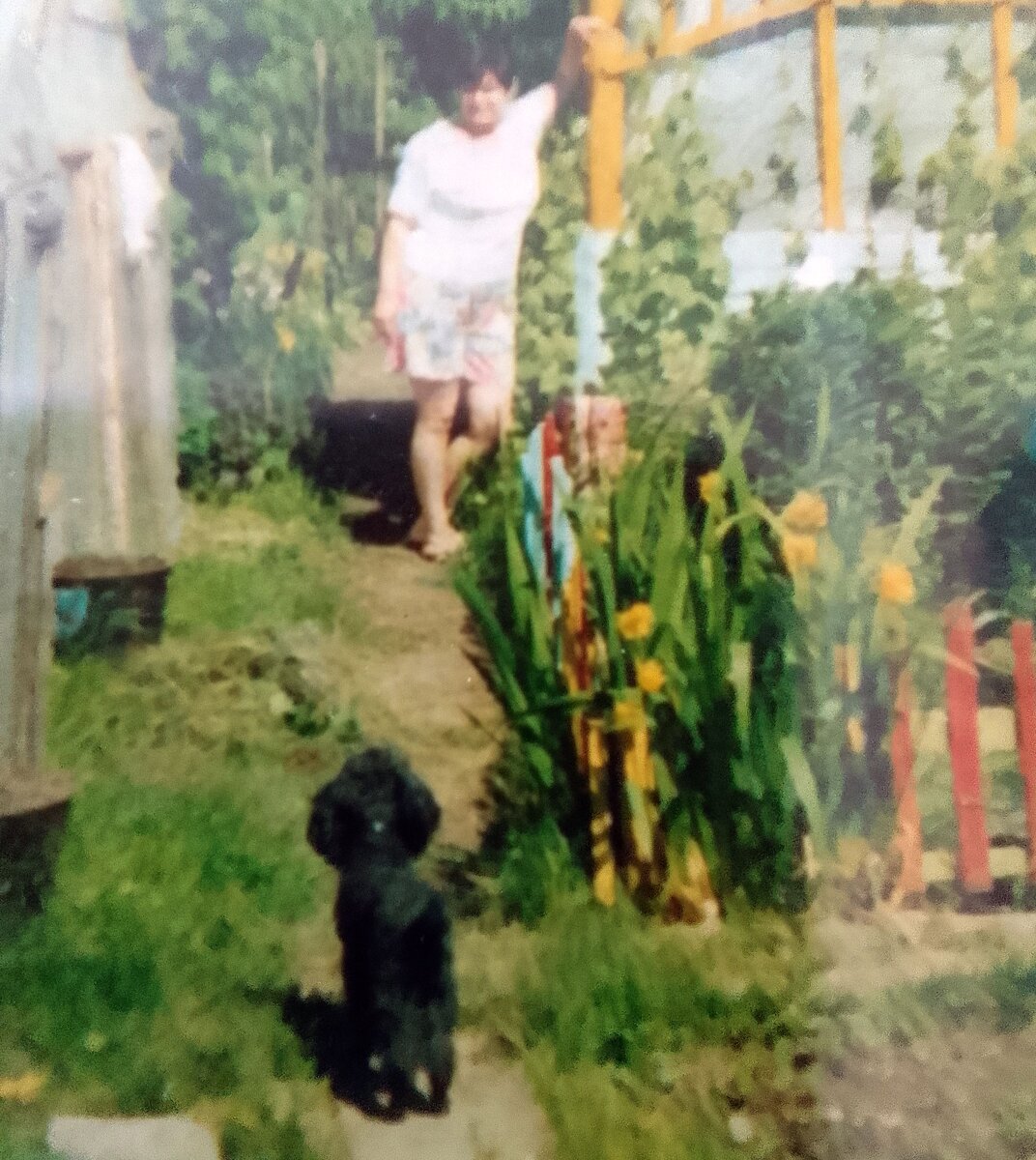 Фото автора