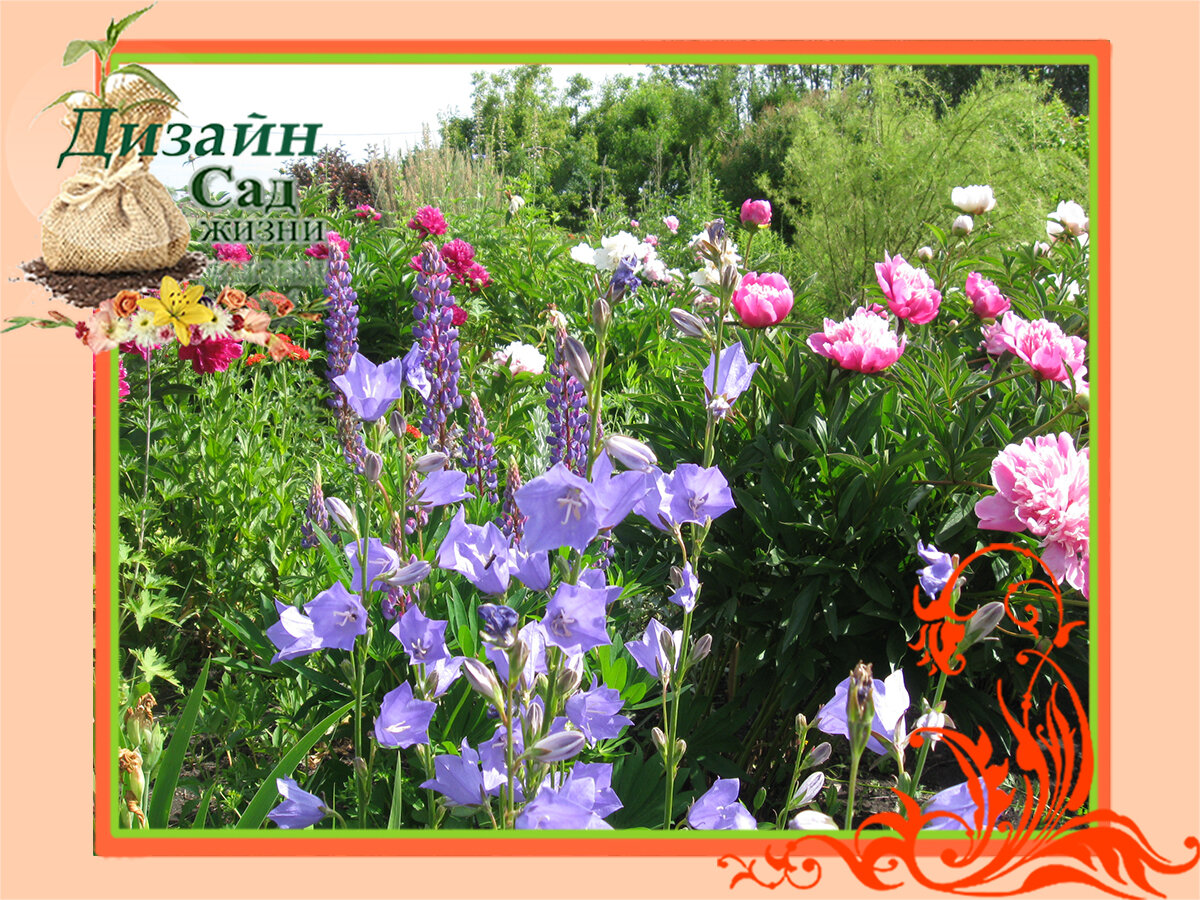 Сад для "сильно занятых".