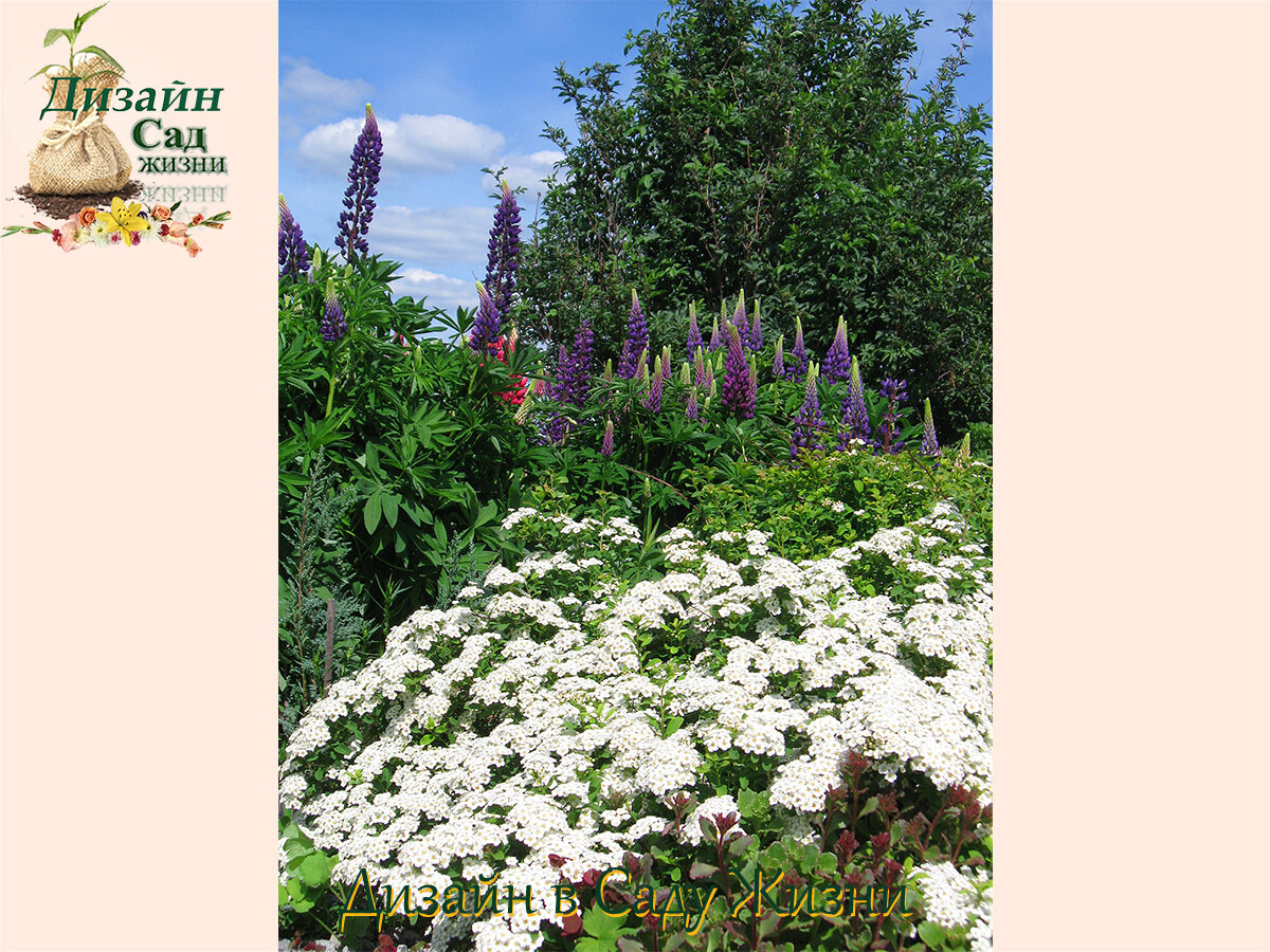 Сад для "сильно занятых".