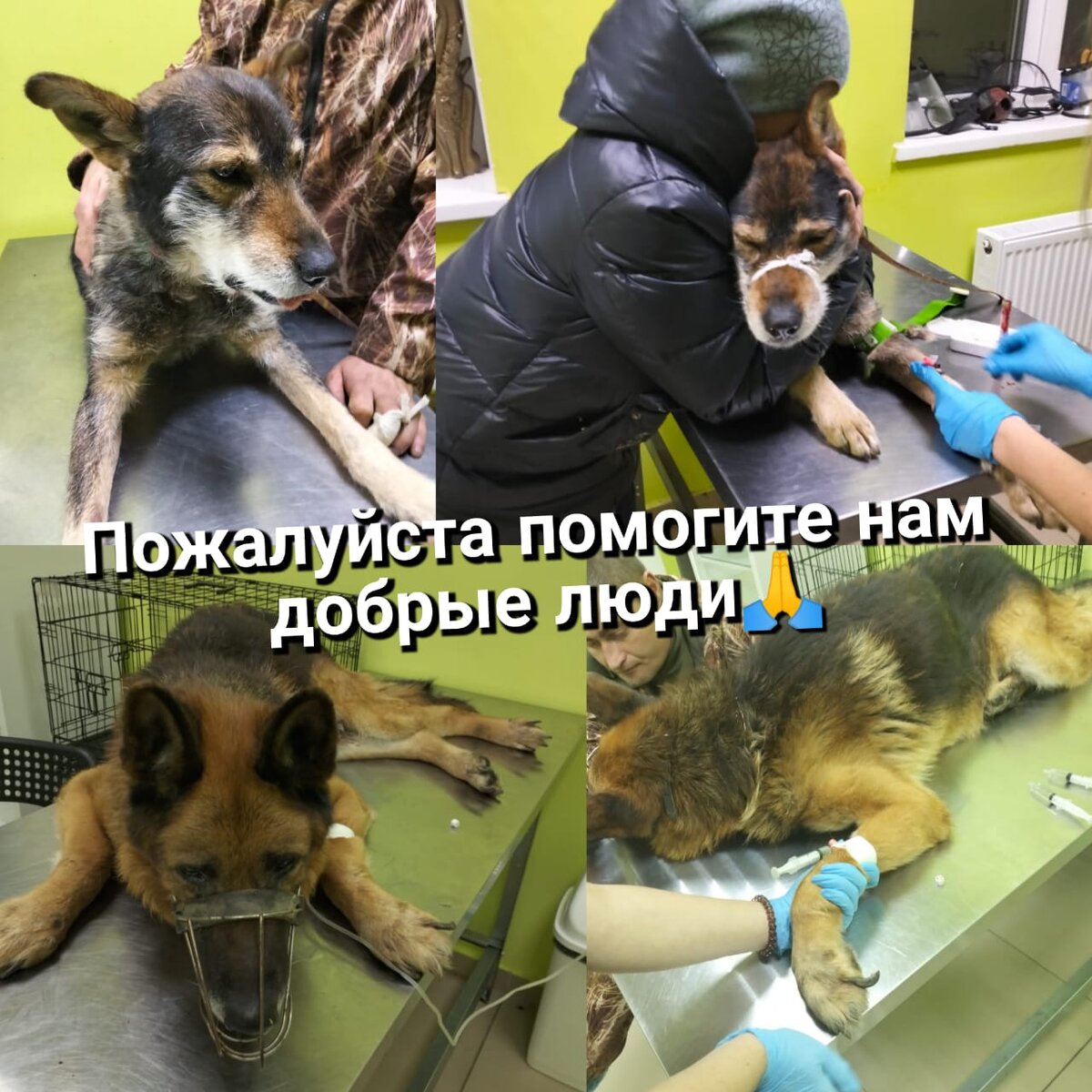 Болен друг