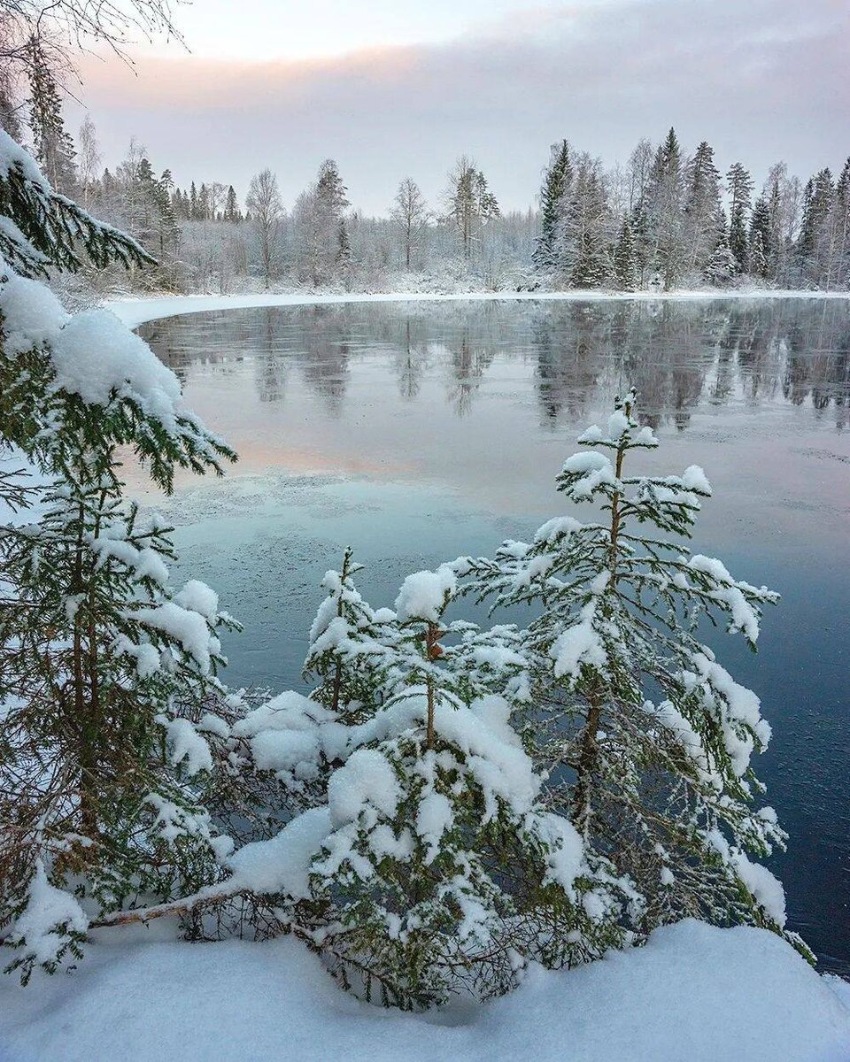 Ленинградская карелия