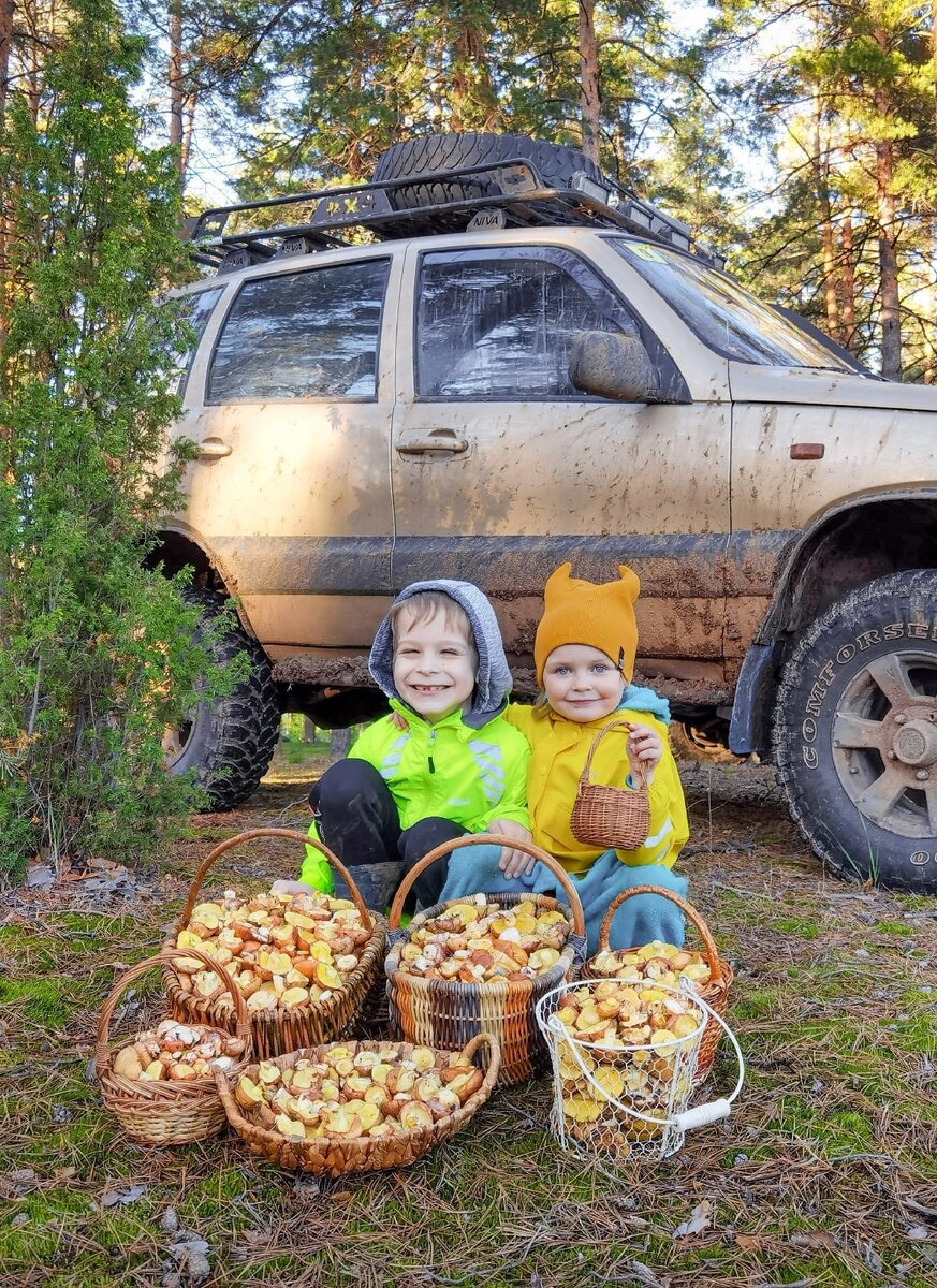 Заядлым грибником. Грибы в Подмосковье. Помощнички.