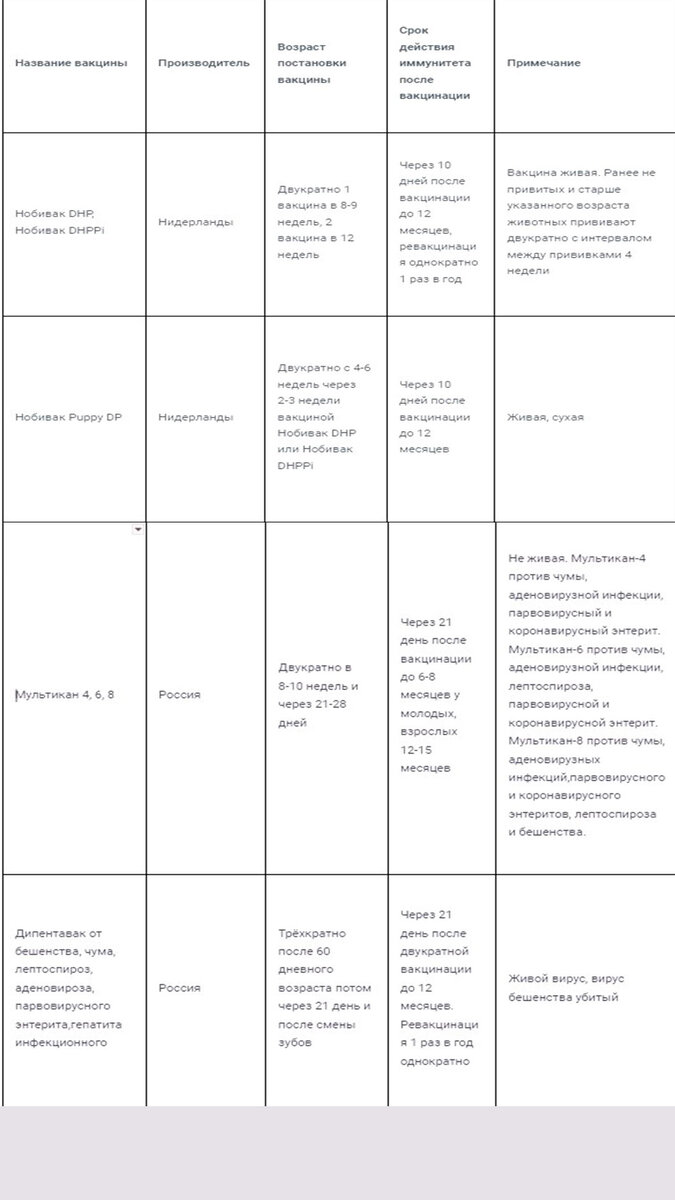 Использование таблиц