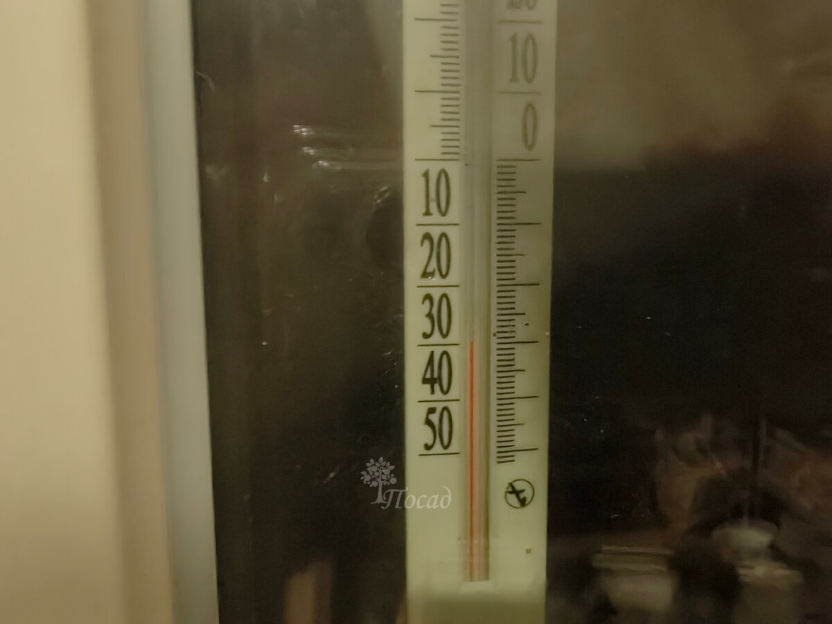 Фотографию сделала вечером. Предполагаю, что ночью было ещё холоднее.