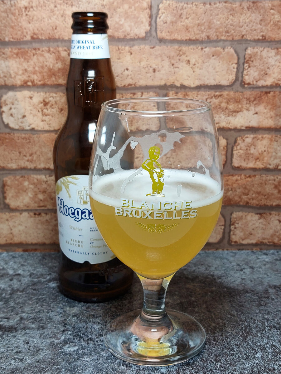 Hoegaarden Witbier 4.9% | ПивКоТ | Дзен